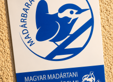 madarbarat_01.png